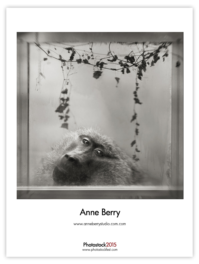anne_photostock_card_2015.jpg